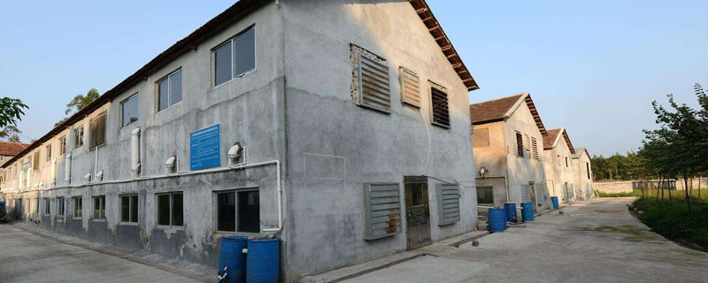 高架床猪舍建造尺寸