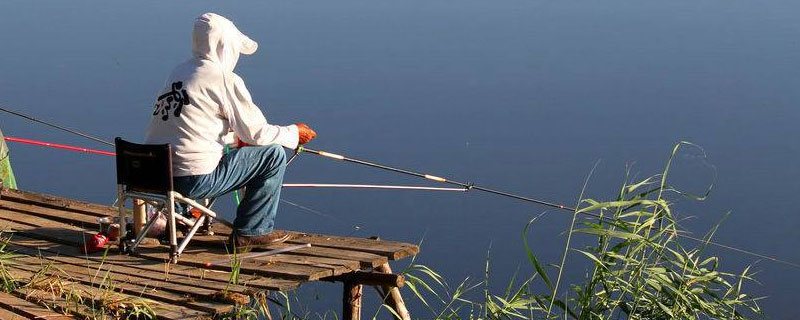 咸淡水钓乌头如何配饵料,用什么钩好