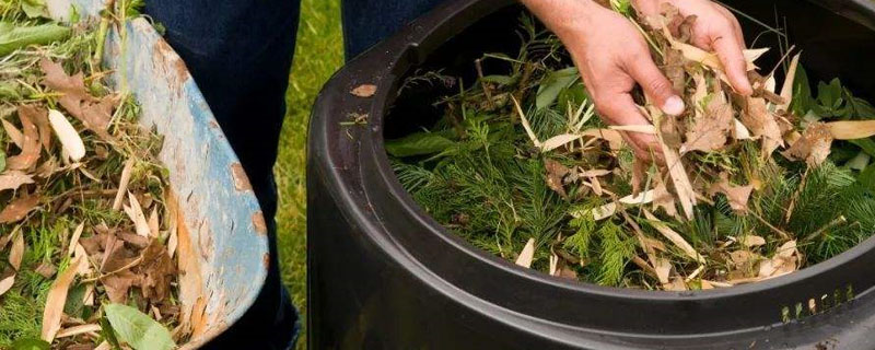 塑料桶自制堆肥