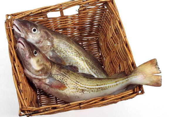 银鳕鱼和鳕鱼的区别是什么 银鳕鱼是海鱼吗