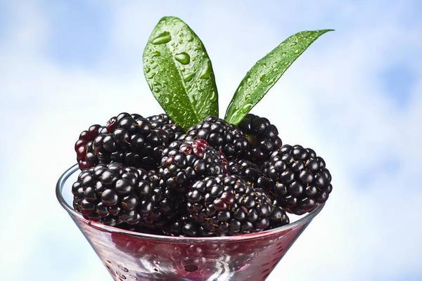 黑莓是什么水果