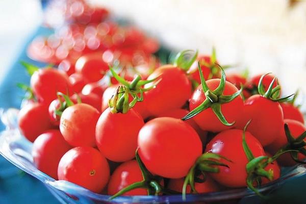 圣女果和西红柿的区别是什么 圣女果吃多了好吗
