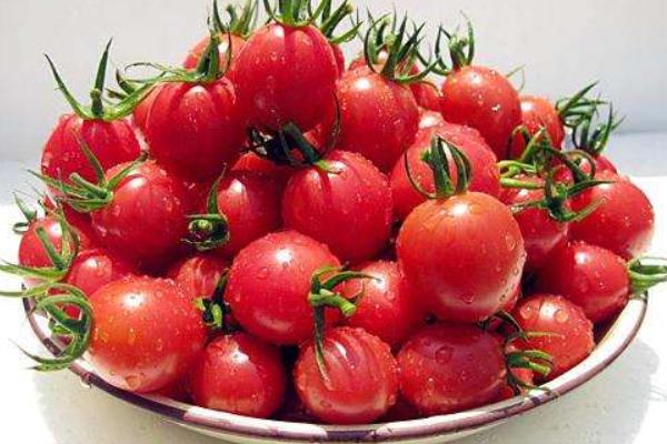 圣女果和西红柿的区别是什么 圣女果吃多了好吗