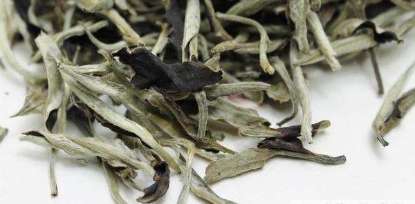 白茶是什么茶 白茶有几种 为什么叫白茶