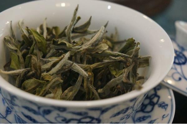 白茶是什么茶 白茶有几种 为什么叫白茶